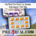 What Is Kamagra Jelly 100Mg new12